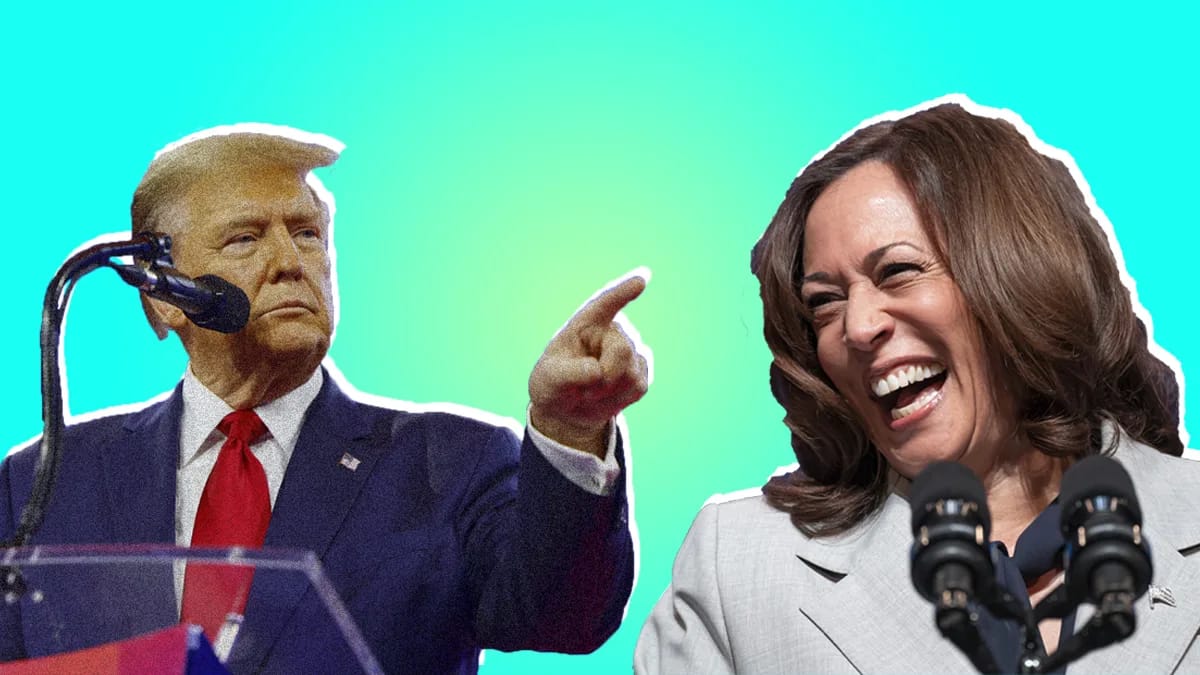 can kamala harris beat donald trump latest poll updates